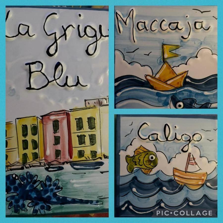 شقة La Grigua Blu ريوماجّوري المظهر الخارجي الصورة